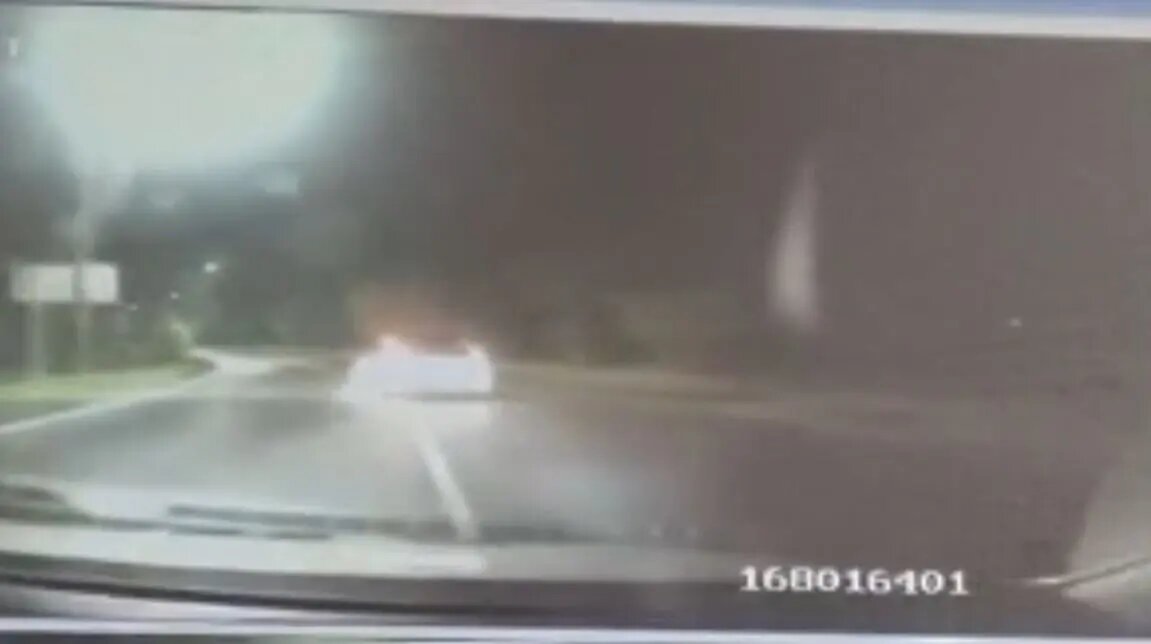    Фото: кадр видео ГУ МВД по Петербургу и Ленобласти