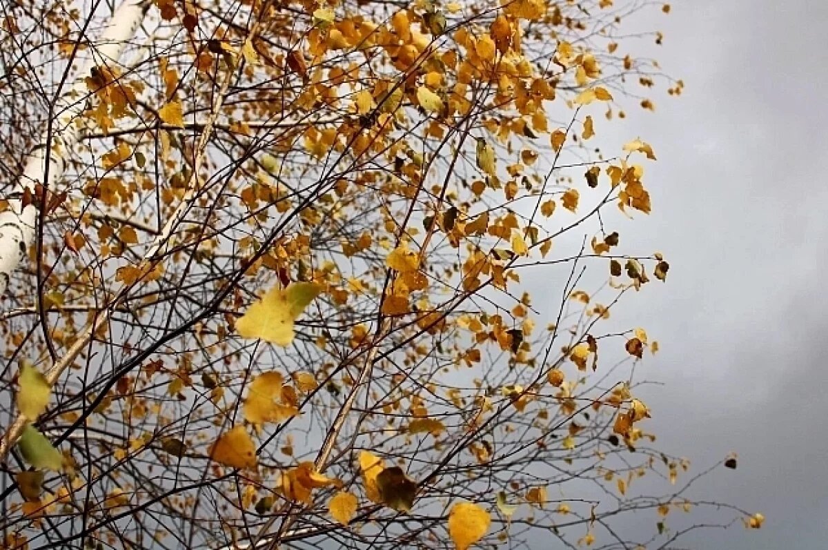    Синоптики дали прогноз на октябрь в Свердловской области