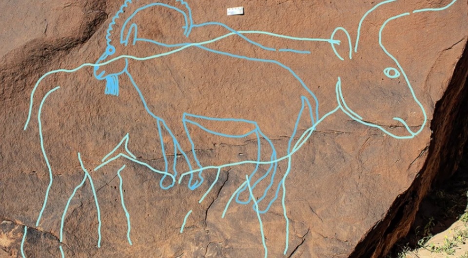   Maria Guagnin et al. / Nature Communications, 2025