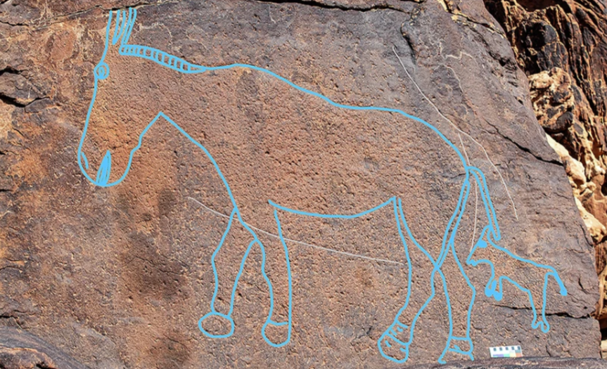   Maria Guagnin et al. / Nature Communications, 2025