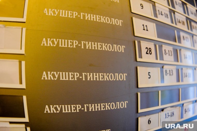    Учреждение попало под проверку