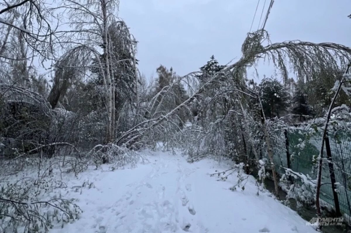    В шести районах Якутии объявили предупреждение из-за метели 2 октября