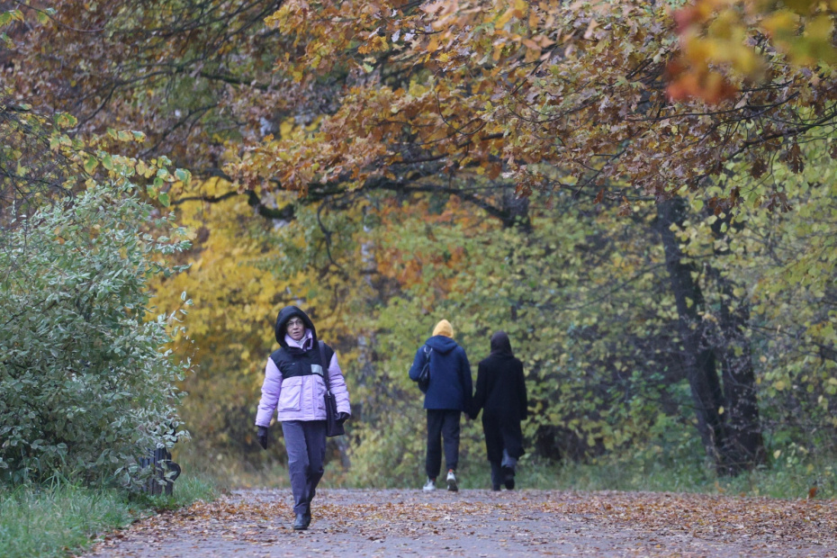    Сергей Булкин/NEWS.ru