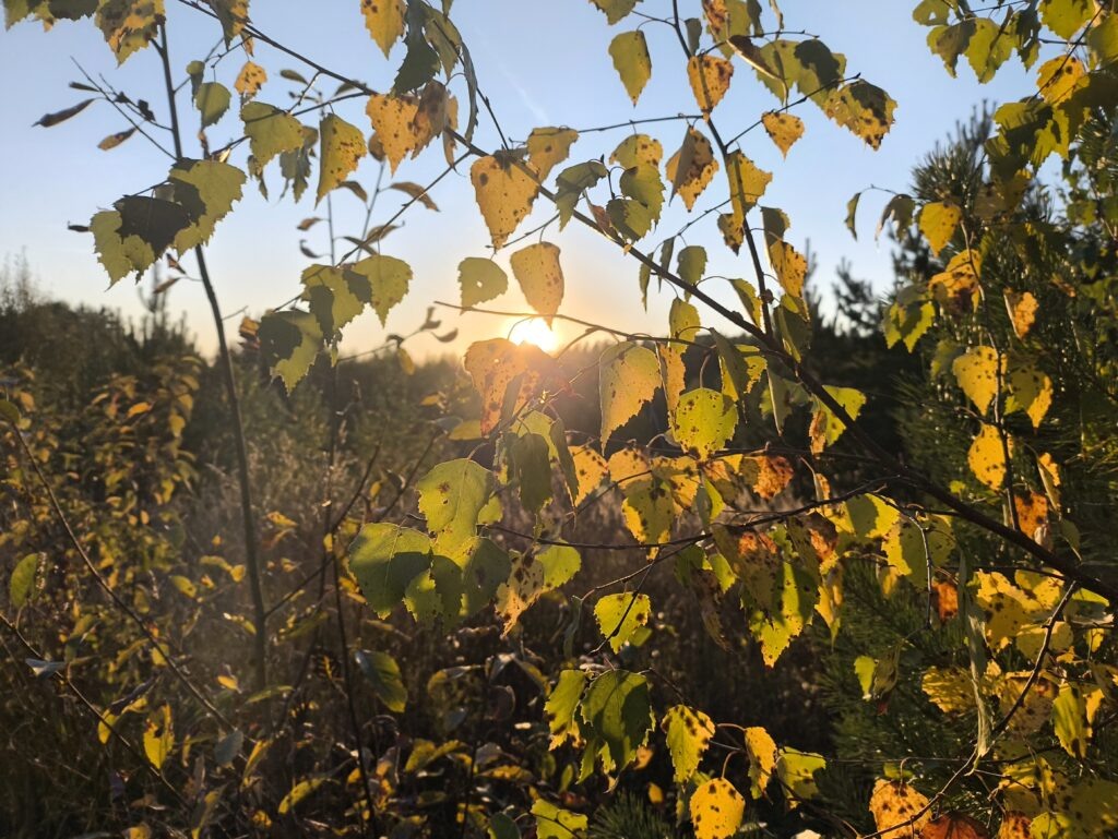    Фото: v-kurse.ru Ольга Гилёва