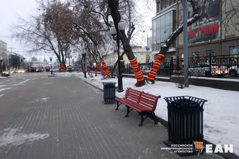    Деревья одеты в свитера зимой