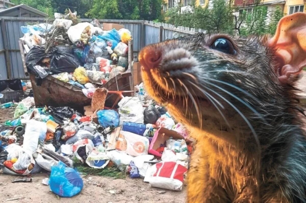    Не чистая планета.