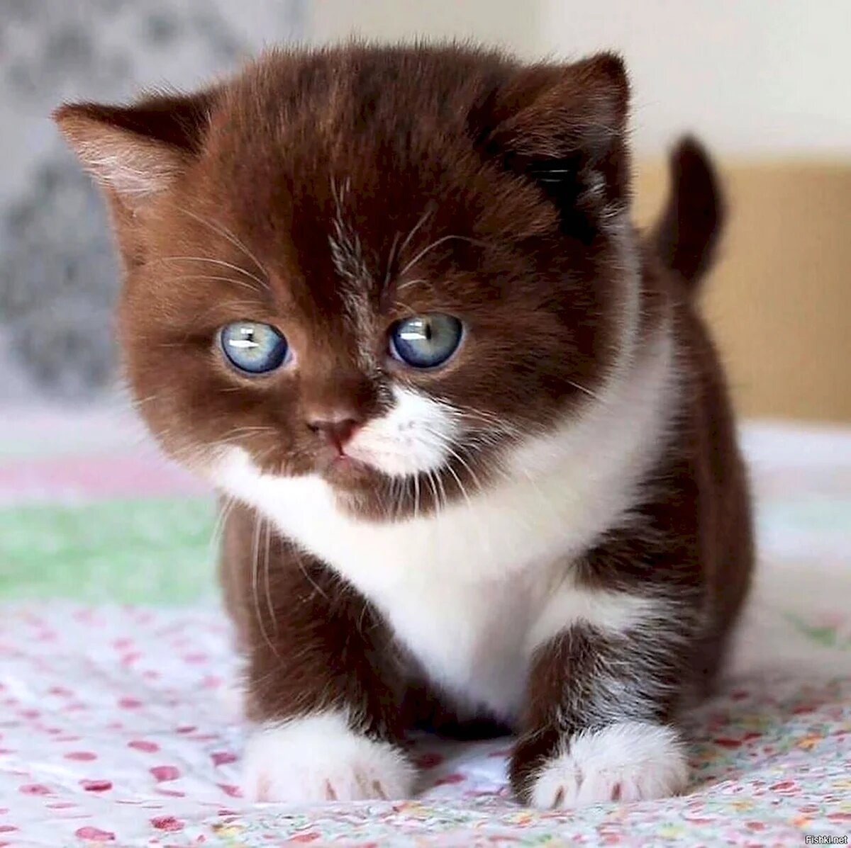 Выбор имени – это магия.