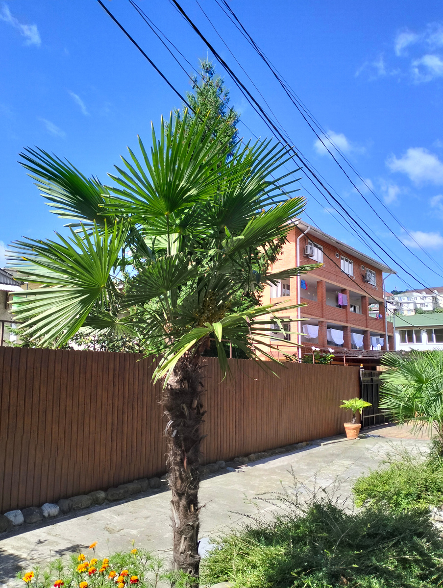 Наш гостевой дом