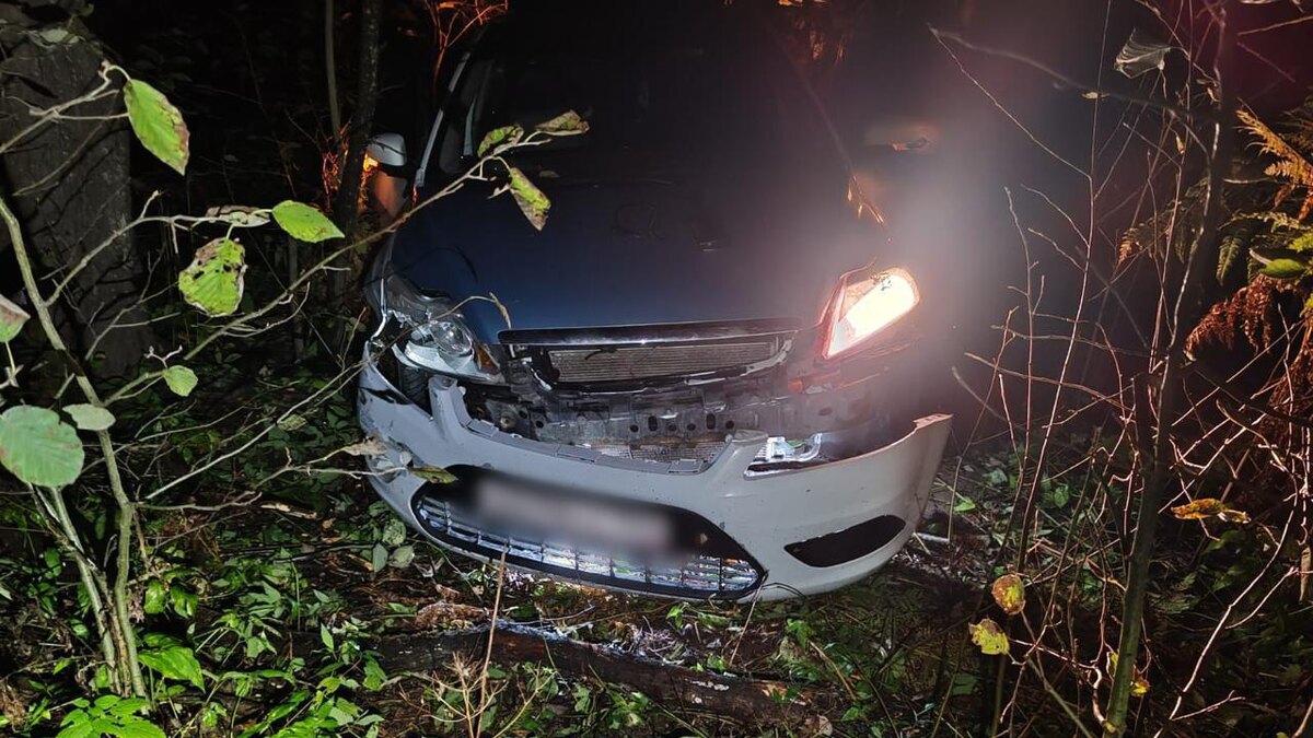    Фото: пресс-служба ГУ МВД России по Санкт-Петербургу и Ленинградской области