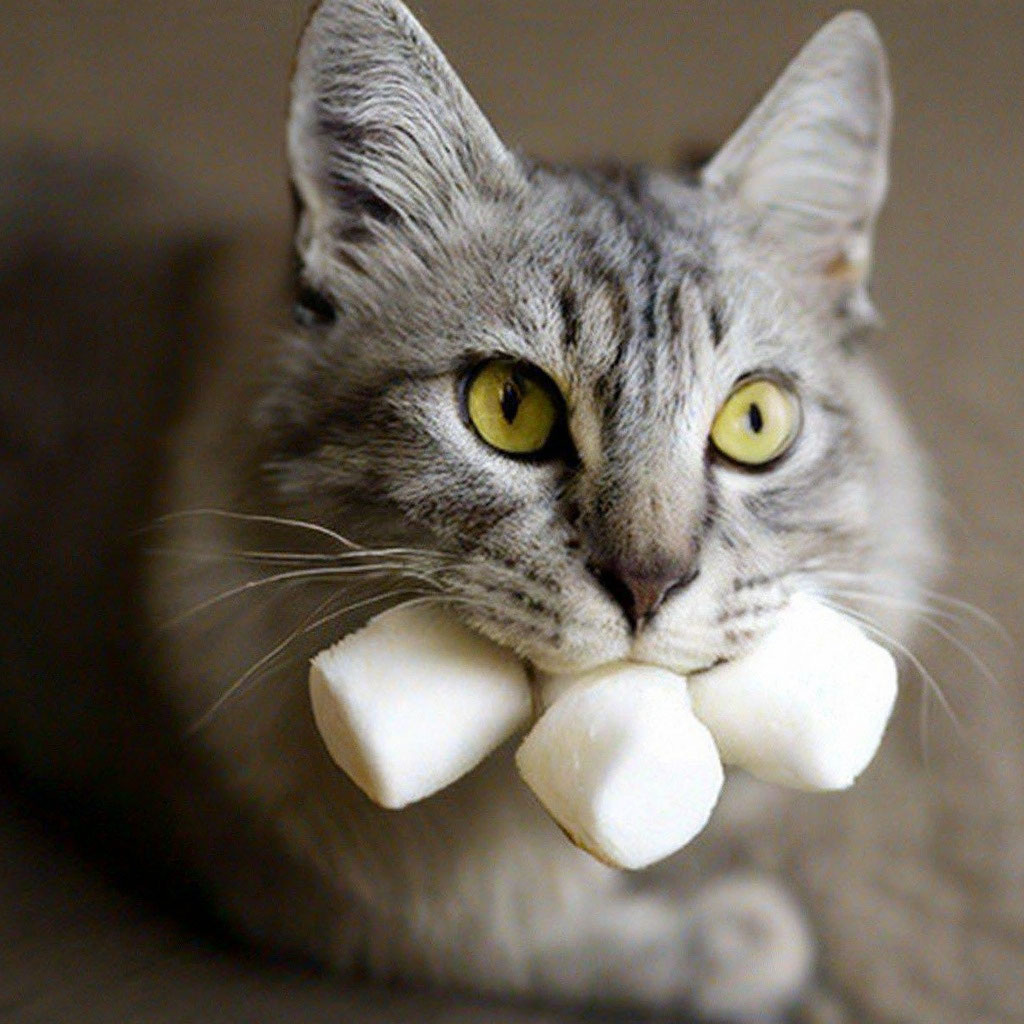 Малышка Зефирка желает вам сладкой жизни.