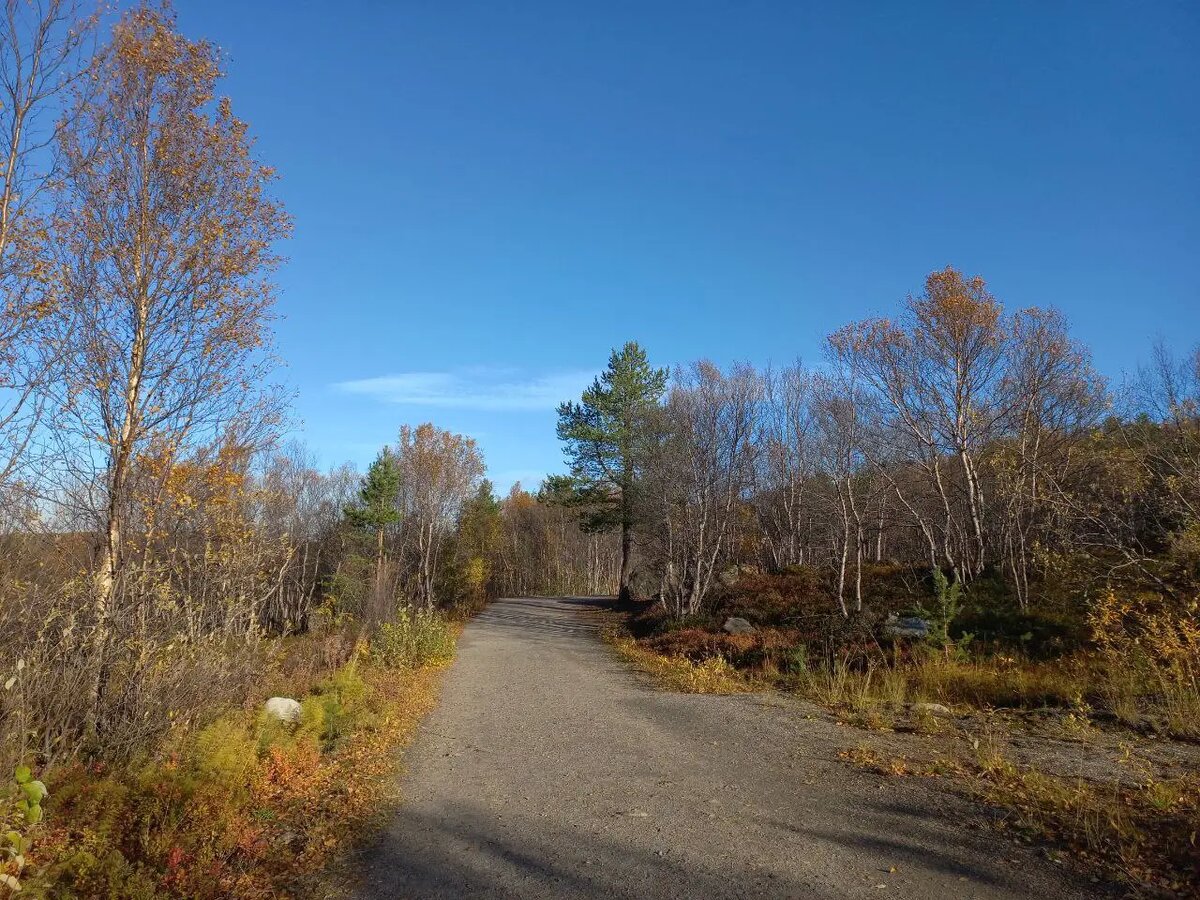     © "Интерфакс". Анжела Коляда