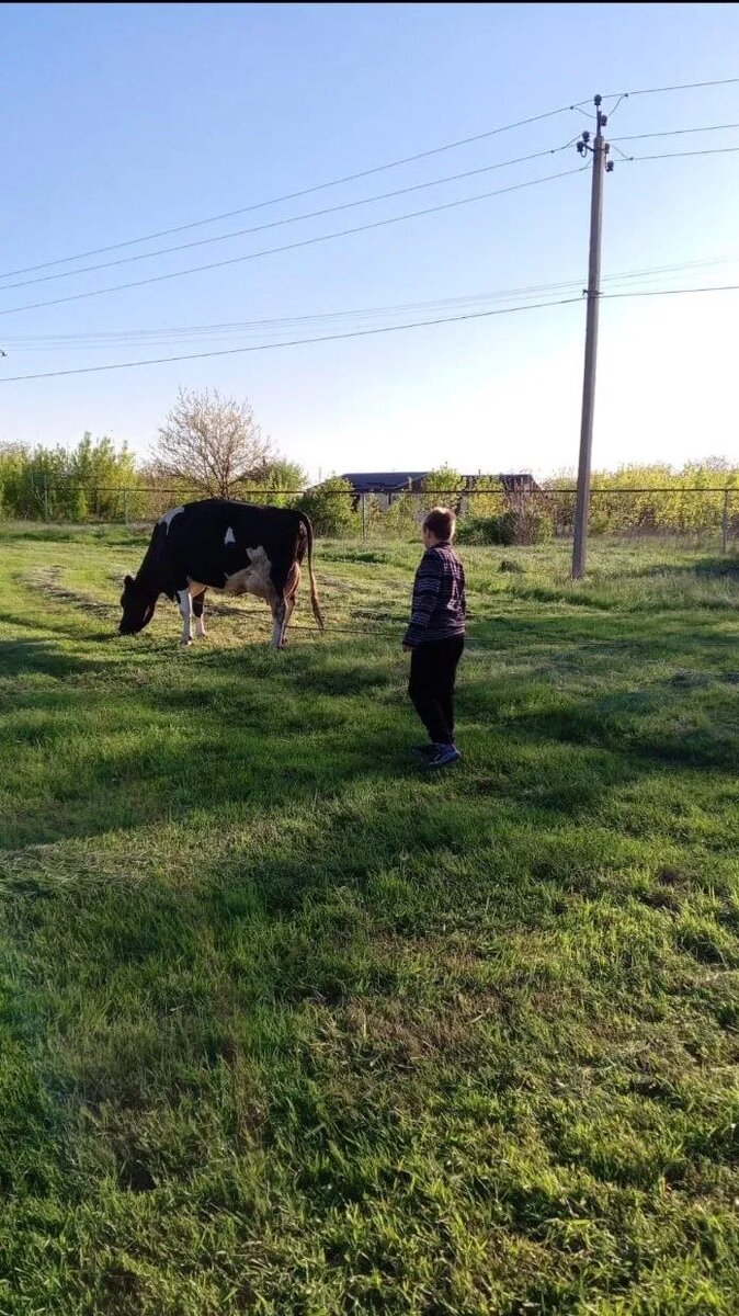 То самое поле, где гуляют змеи. Фото автора.