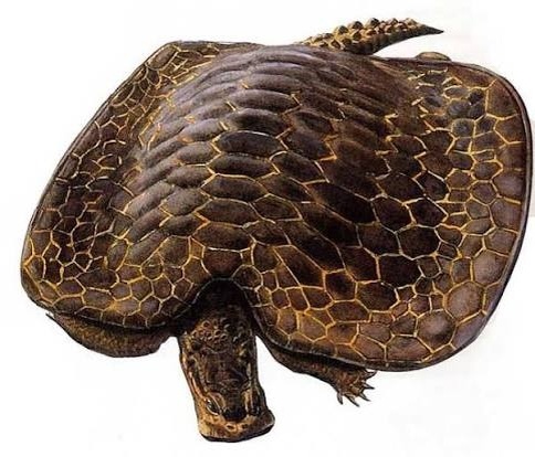 Самое первое изображение хенодуса которое я увидел.