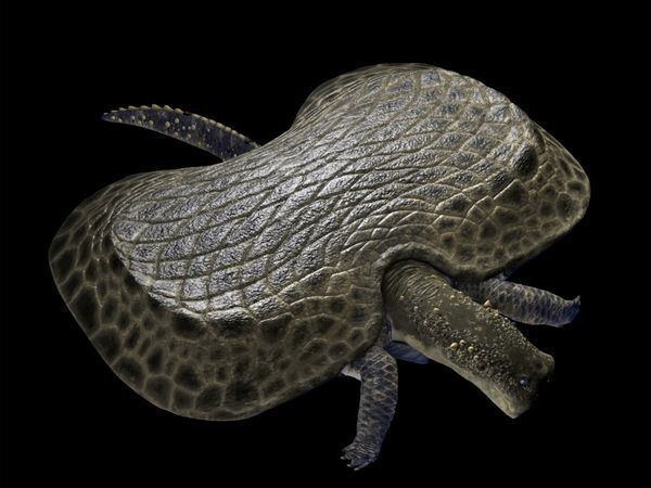 Хенод, пнг иллюстрация.