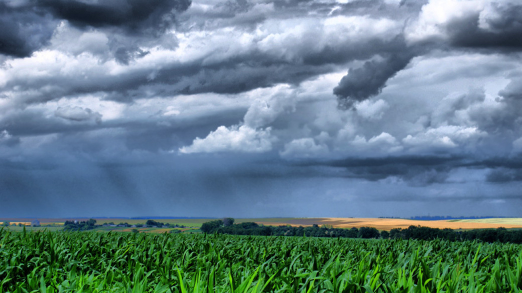 яндекс.картинки