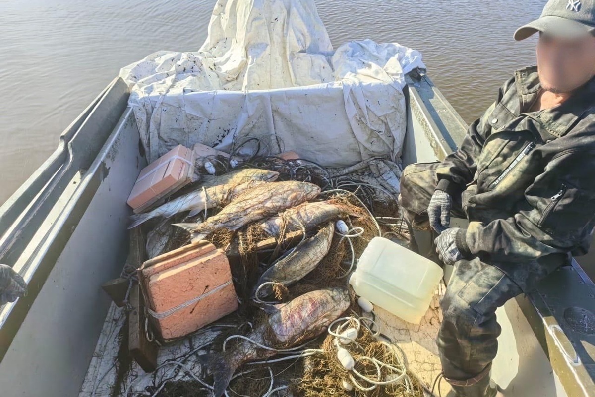    Фото: Полиция Хабаровского края, источник: t.me/mvd_27