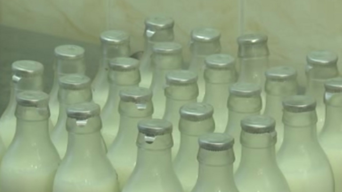    На "Молочную кухню" в Курске приобретут пищеварочный электрический котел на 100 литров