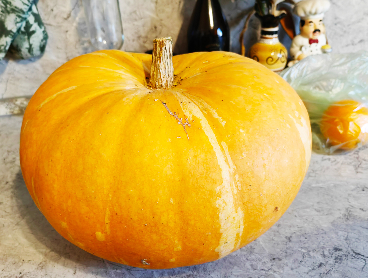 Фото из личного архива