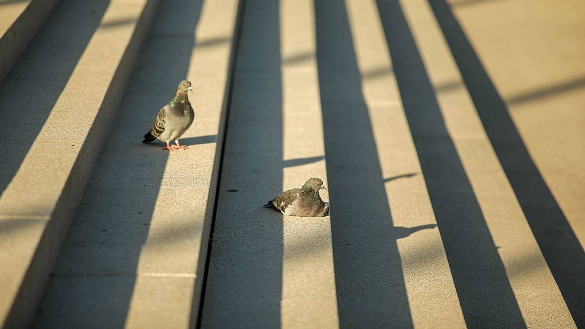    Фото: Артур Новосильцев / АГН Москва