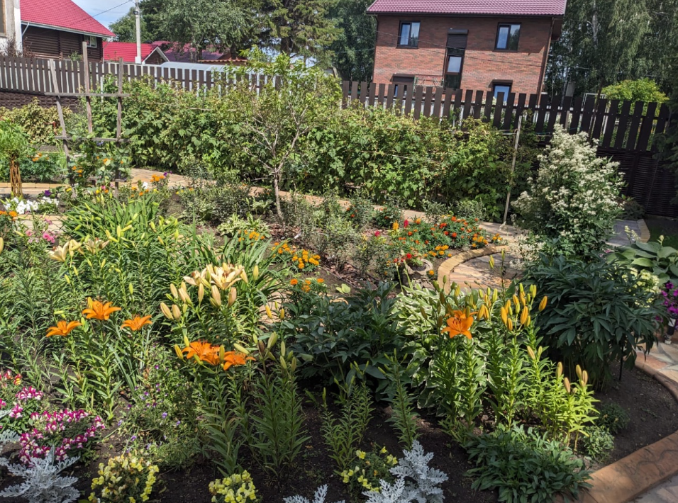 Сад во дворе клиента, фото: WOODGRAND
