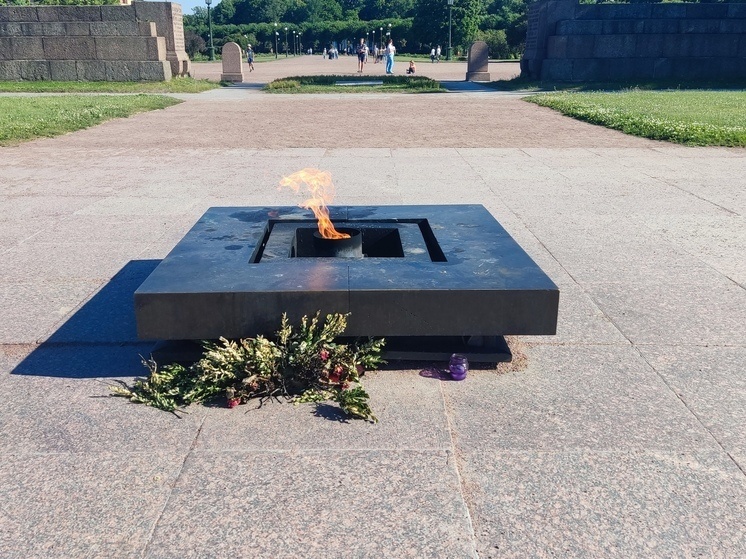     Сейчас решают вопрос о возбуждении уголовного дела. Фото: архив МК в Питере