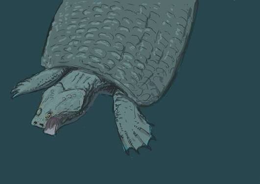 Парахенод от Джошуа Кнуппе.