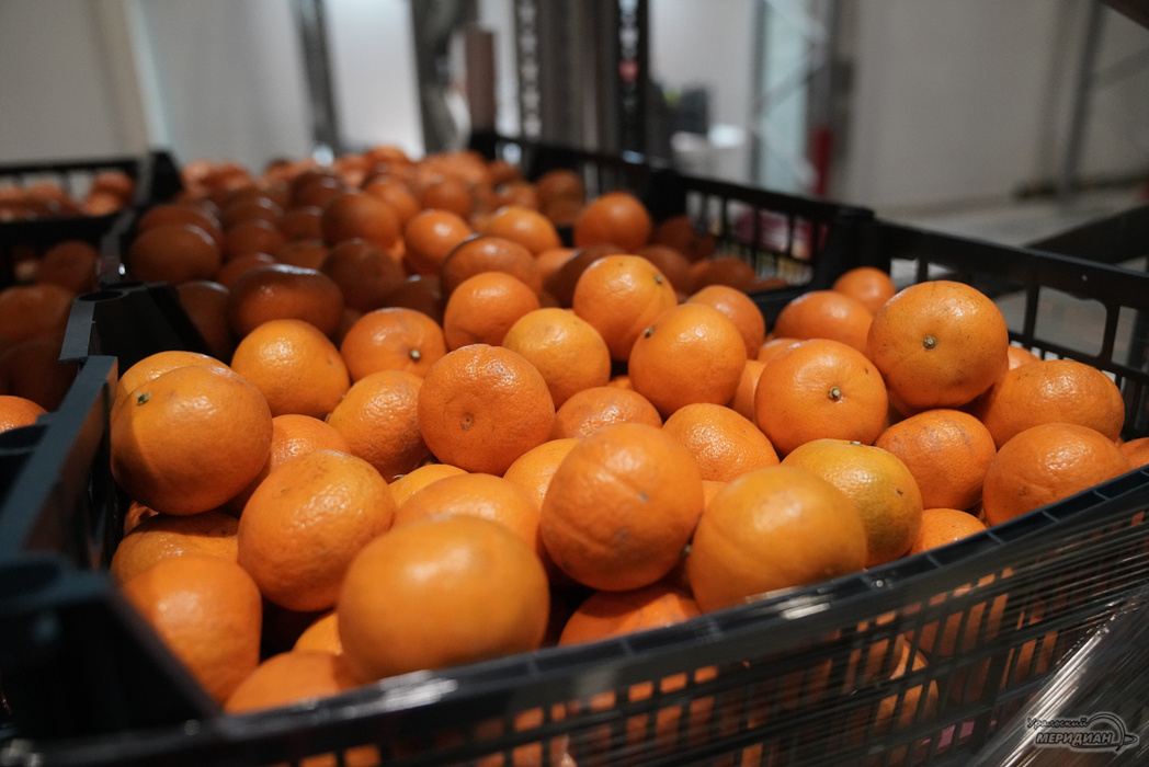    Фото: Лидия Аникина © ИА «Уральский меридиан»