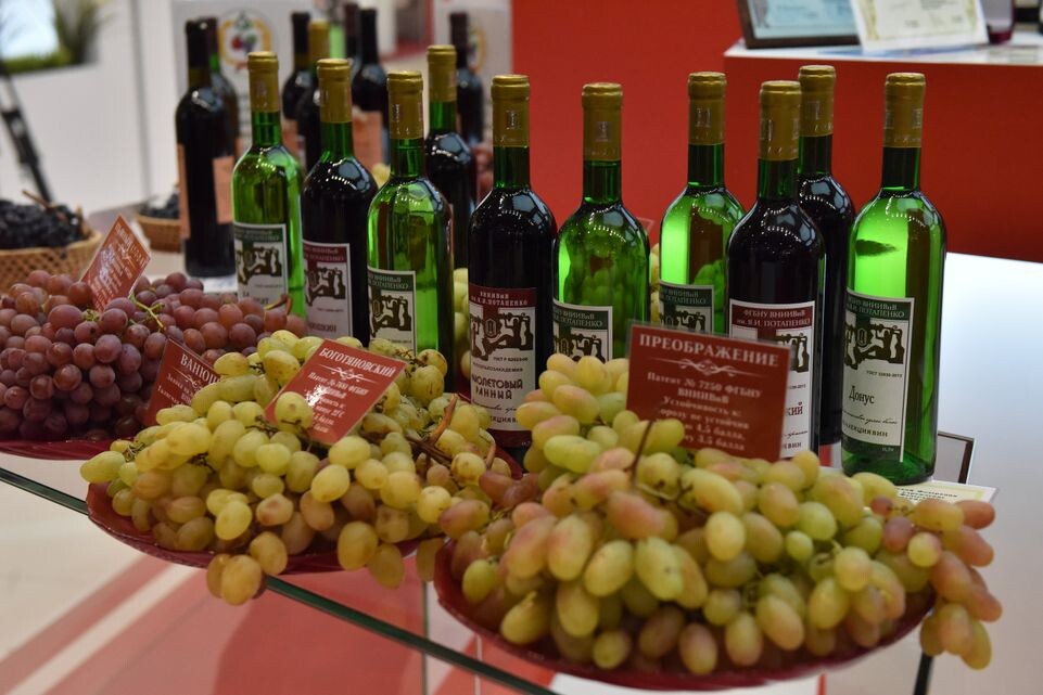     XVIII Российская агропромышленная выставка «Золотая осень» / Медиасток.рф