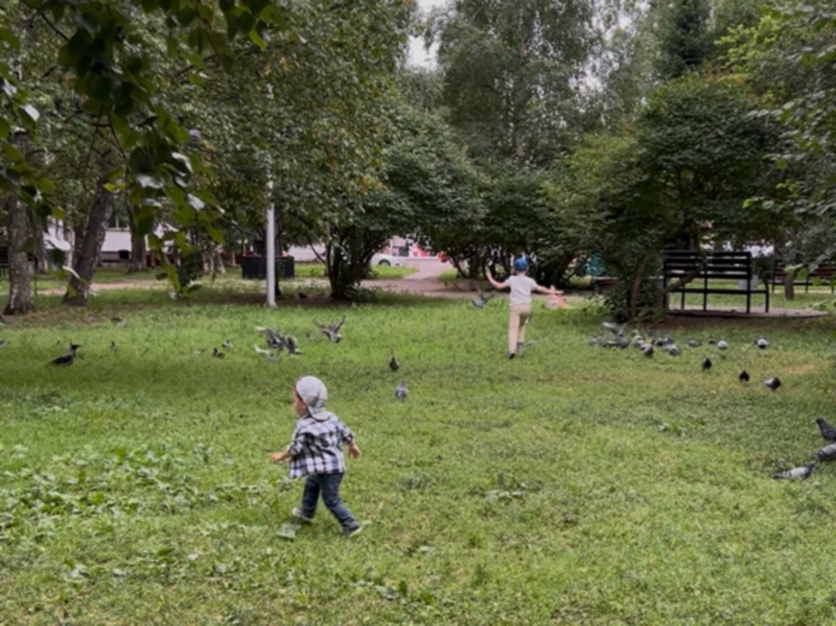 Два "мустанга" на выгуле