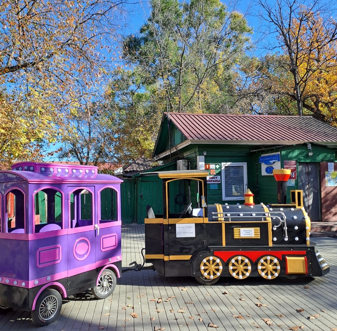  Дети в Первомайском парке г.Благовещенска путешествуют на своем поезде . Фото автора