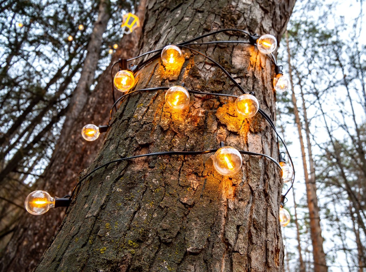    Фото: iStock/tanyss