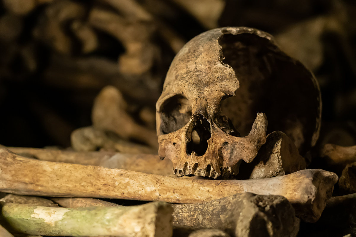 В катакомбах Парижа захоронены 6 миллионов человек. Источник фото: shutterstock.com