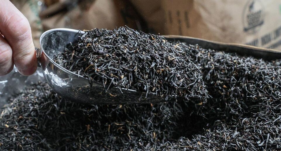    Bulkin Sergey/news.ru / www.globallookpress.com