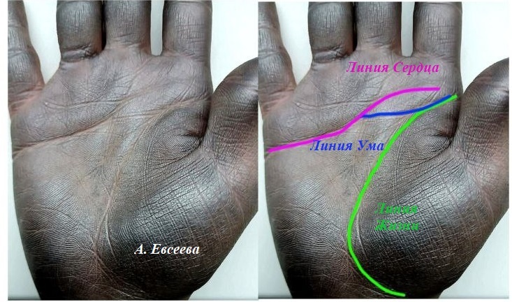 Из личного рабочего архива. Моя редакция