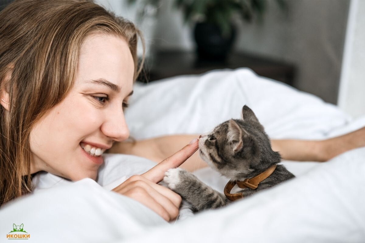 Котёнок с хозяйкой 