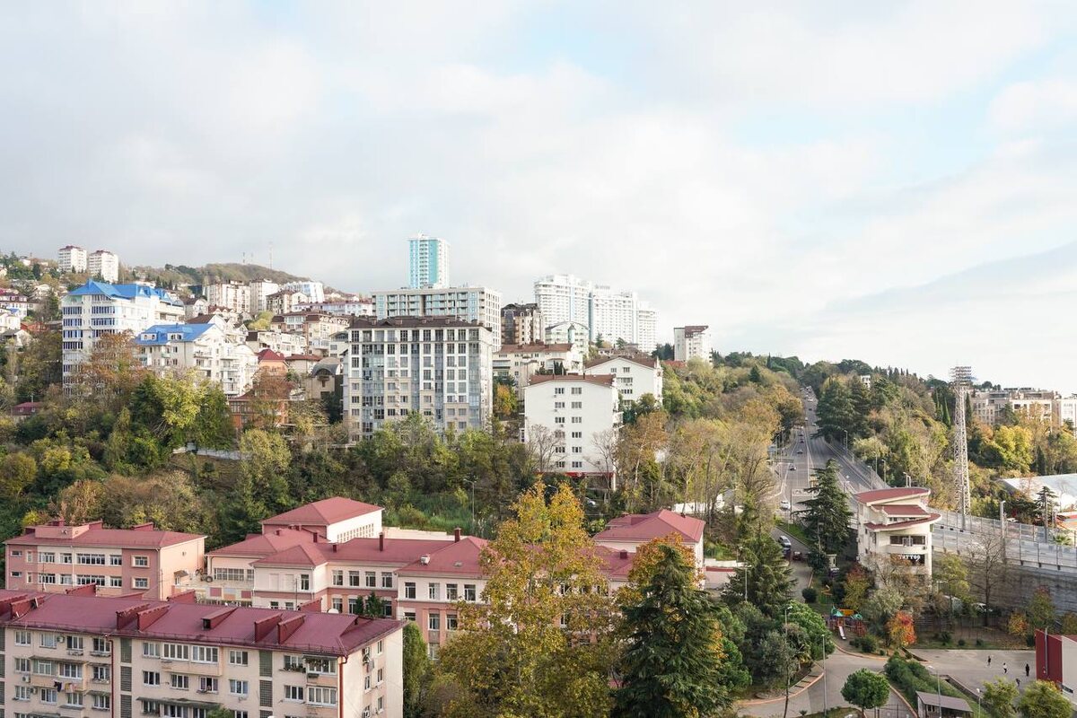 Фото: Telegram/Сочи Официальный  📷
