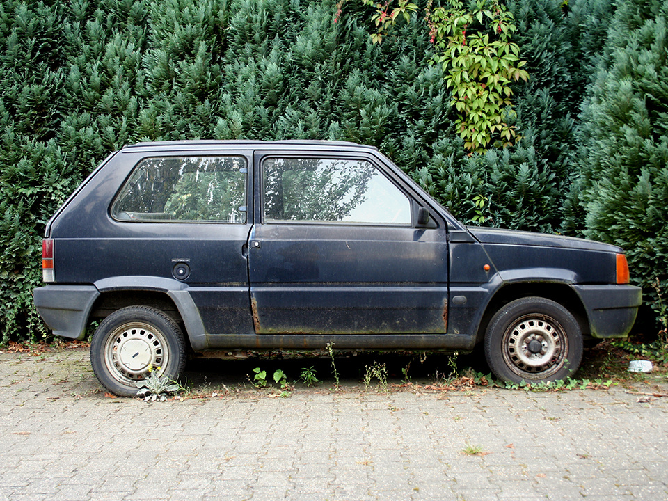    Фото: istockphoto.com/bibi57