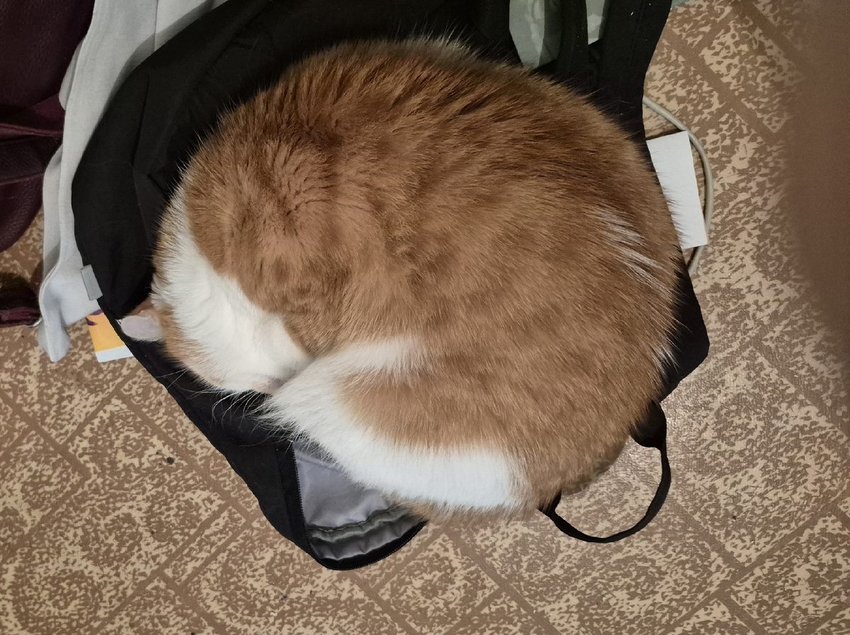 сложная задача - забрать рюкзак