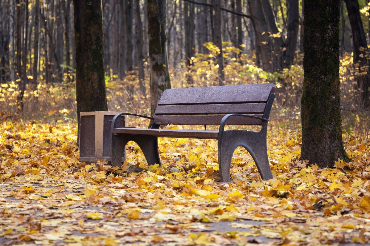    Фото: iStock/Dzurag