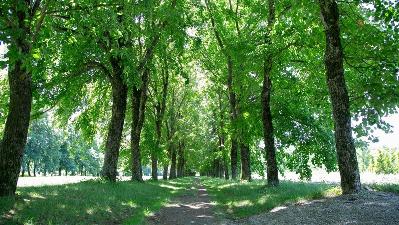      Фото: Валерия Алтухова / / ИА «Победа26»