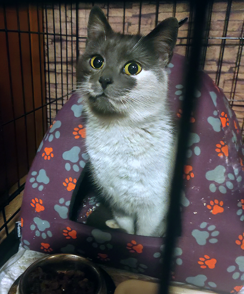 Плюша с моей работы встретила своих людей в возрасте трех лет