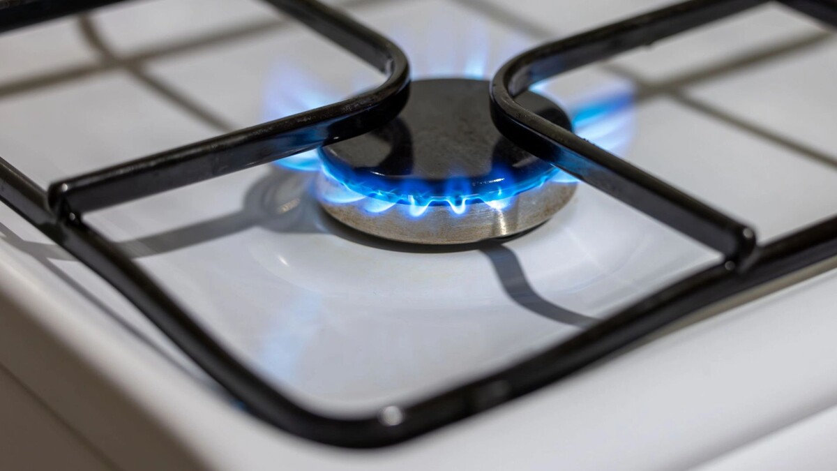    Фото: Федор Воронов / «Ямал-Медиа»