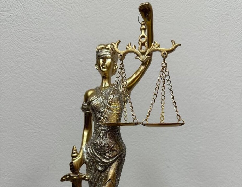    Фото пресс-службы судов общей юрисдикции Новосибирской области