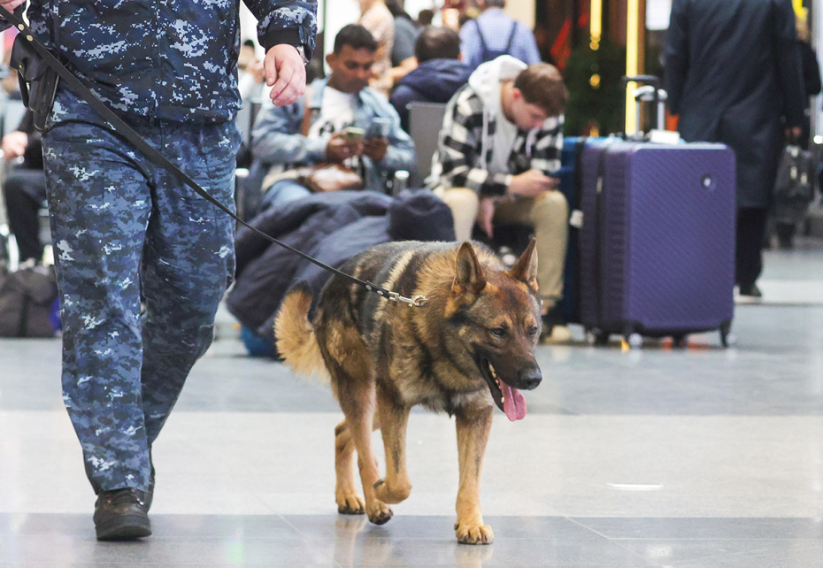    Наталья Шатохина/NEWS.ru