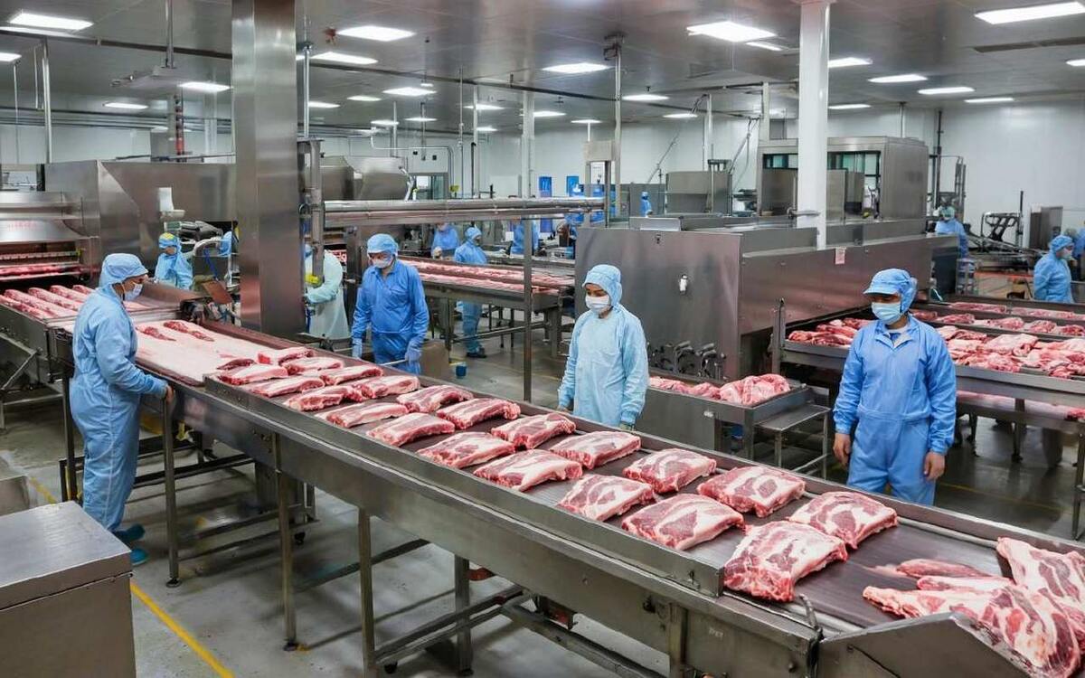    В Воронеже приостановили работу мясного предприятия «Аргус» с полумиллиардным оборотом Иллюстрация сгенерирована нейросетью Kandinsky