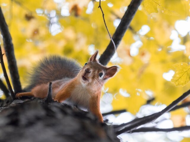    Фото: 123RF/bushalex