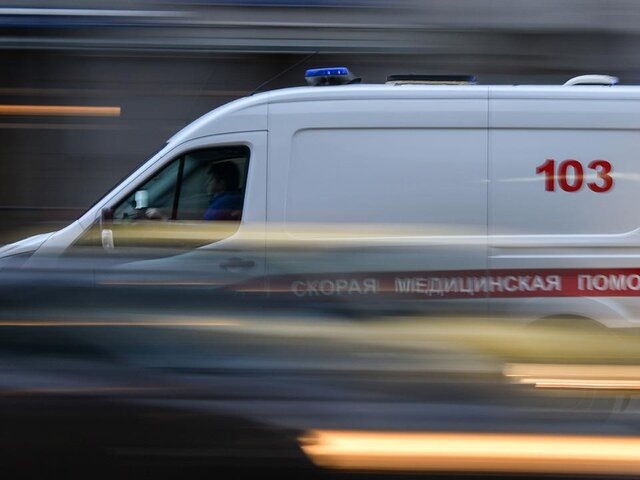    Фото: Москва 24/Антон Великжанин