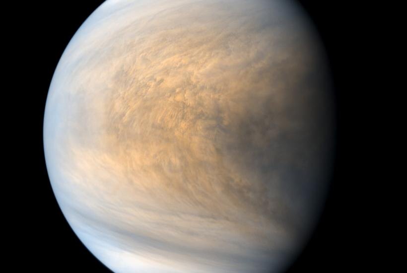 Фото: flikr.com by Kevin M. Gill, https://creativecommons.org/licenses/by/2.0/