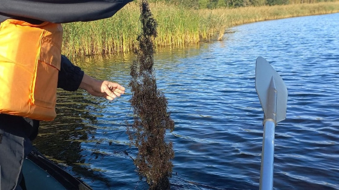 Фото: Дирекция ООПТ Ленинградской области