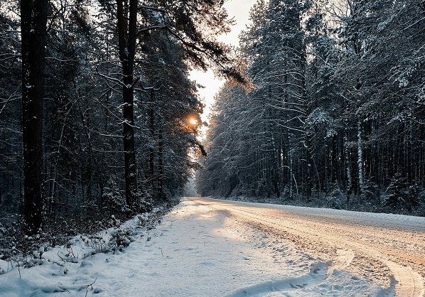 Фотограф: Michał Zalewski: https://www.pexels.com/ru-ru/photo/33063490/